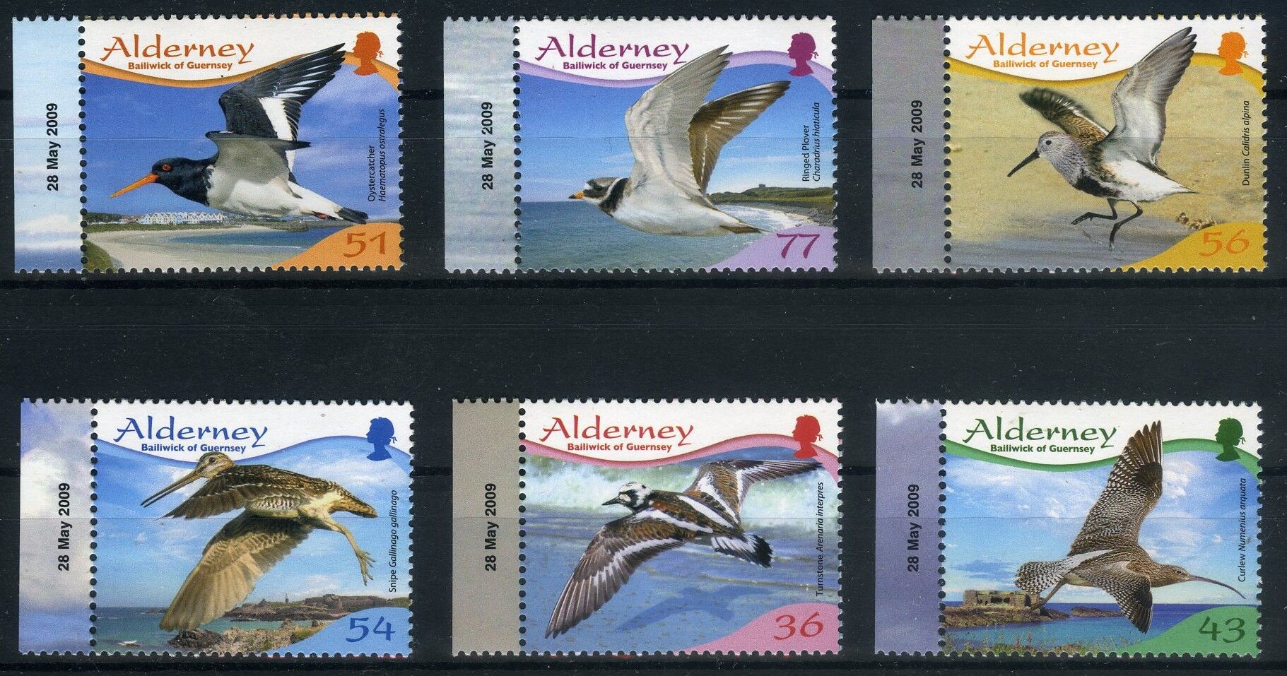 KUŞ DÜNYASI,Alderney Adası 6 Pulluk Damgasız Tam Seri