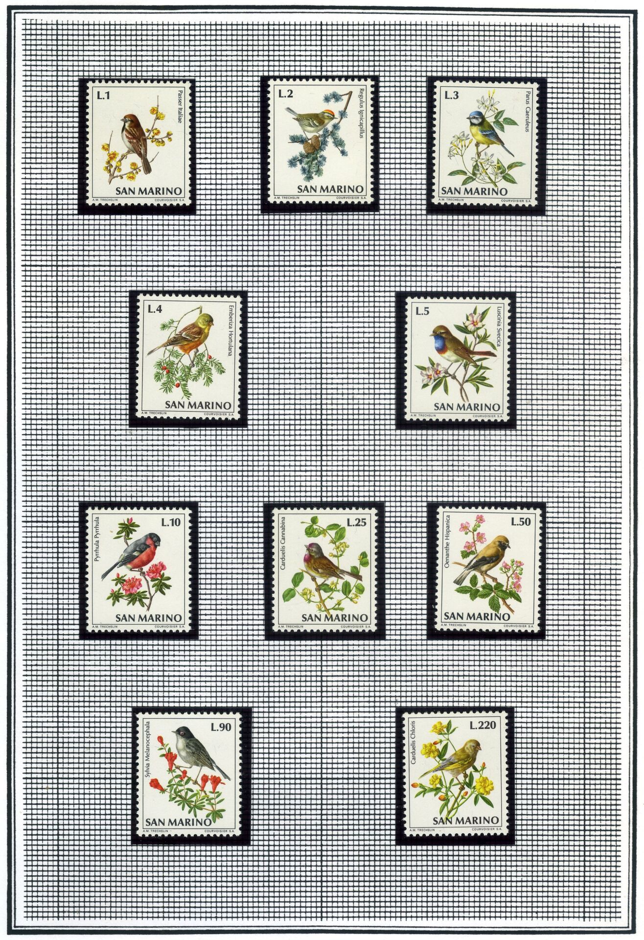 Koleksiyon Pulları,1972 SAN MARİNO (İtalya),Kuşlar Serisi