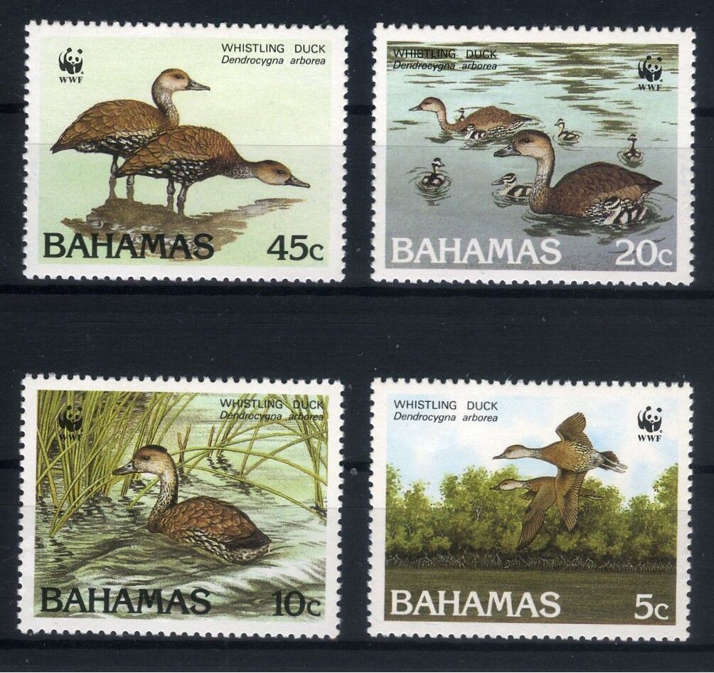 Koleksiyon Pulları, Dünya Çevre Günü,BAHAMAS 4 Pulluk Kuşlar Serisi