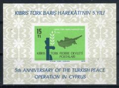 Koleksiyon Pulları,1979 Kıbrıs Federe Devleti,Özel Blok-Damgasız-20 Adet