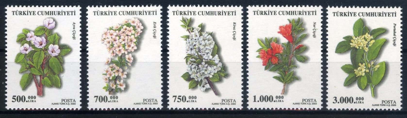 Koleksiyon Pulları,2003 Yılı Meyve Çiçekleri Konulu 5 Pulluk Seri