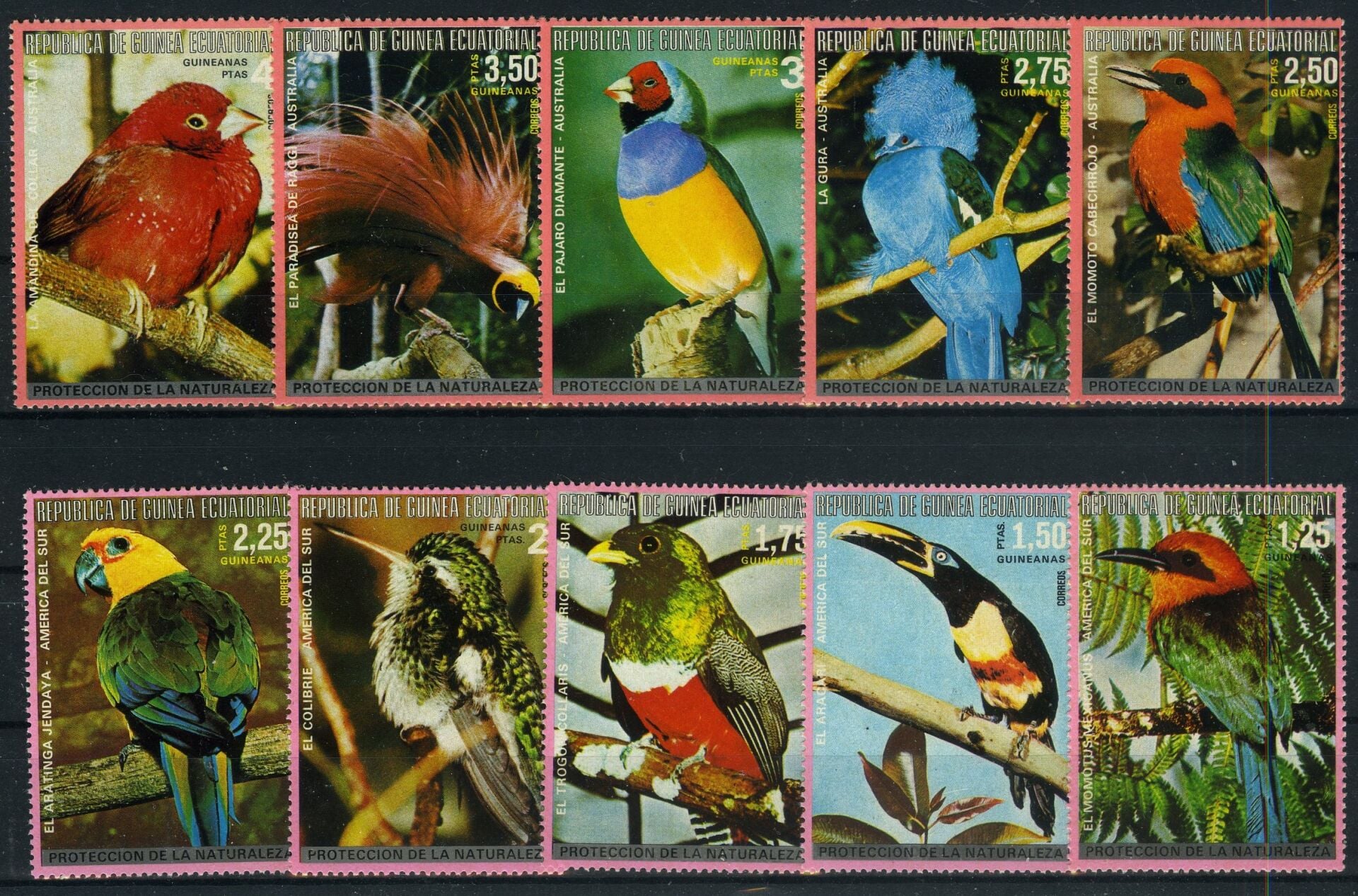 Koleksiyon Pulları, Ekvatoral Gine Cumhuriyeti,Kuşlar,J.Stamps33