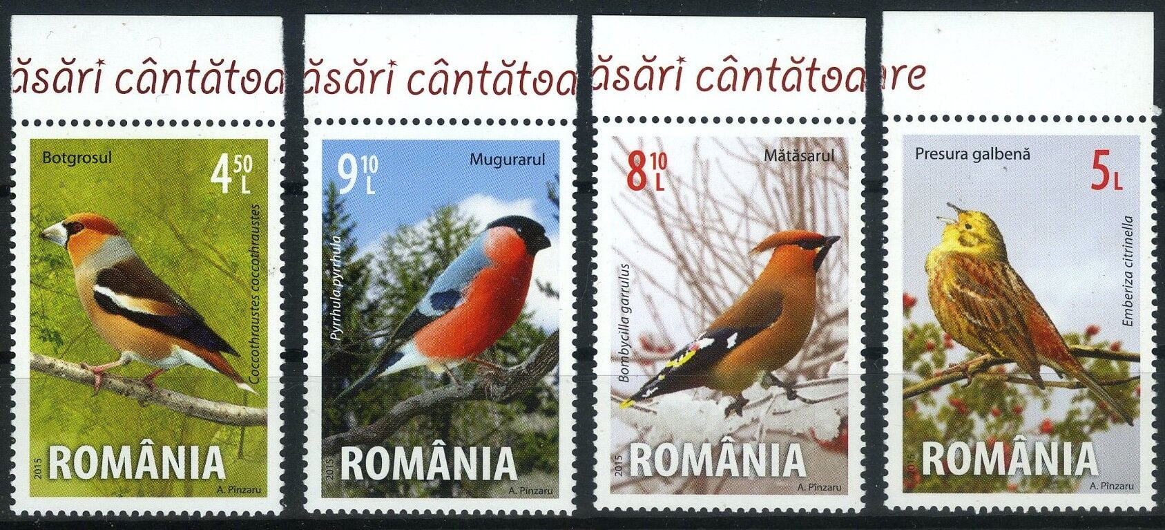 Koleksiyon Pulları,2015 Romanya Ötücü Kuşlar,J.Stamps-39