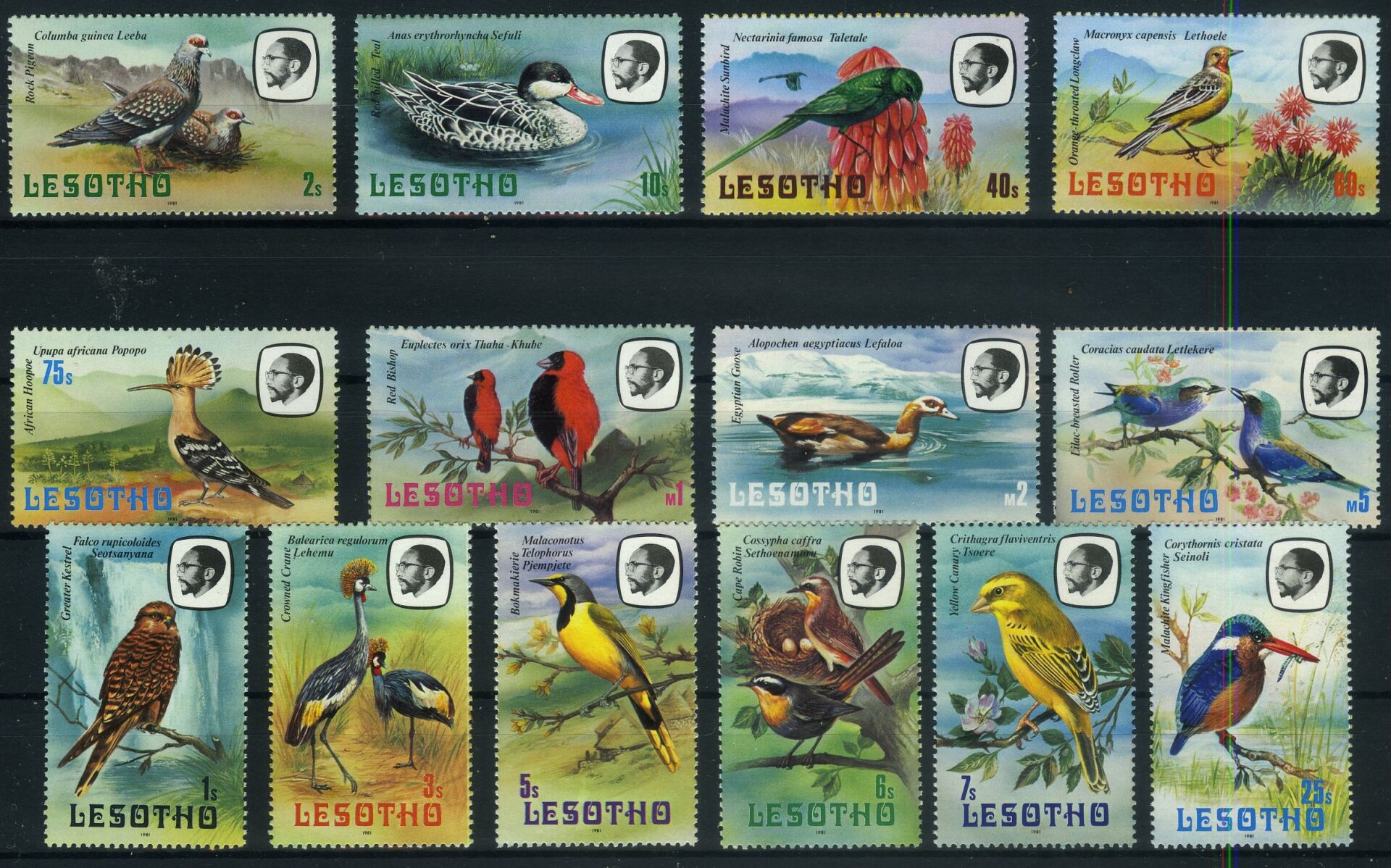 Koleksiyon Pulları, 1981 LESOTHO,14 Pulluk Kuşlar Serisi,J.Stamps-74