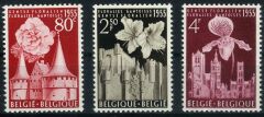 Koleksiyon Pulları,1955 Belçika Gent Çiçek ve Bitki Festivali,Bel-21