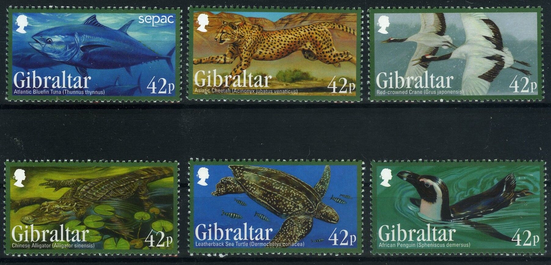 Koleksiyon Pulları, Gibraltar 6 Pulluk Damgasız Tam Seri, Gib-14