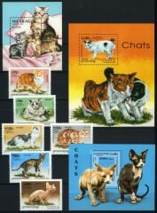 Koleksiyon Pulları,Kedi Pulları Koleksiyonu,Damgasız,Cats-1